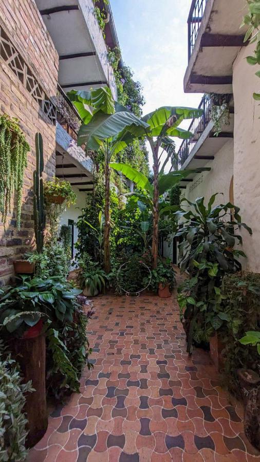 Hotel Mulato El Colegio  Exteriér fotografie